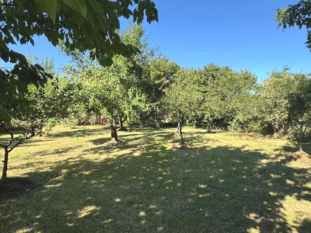 Obstplantage links vom Haus