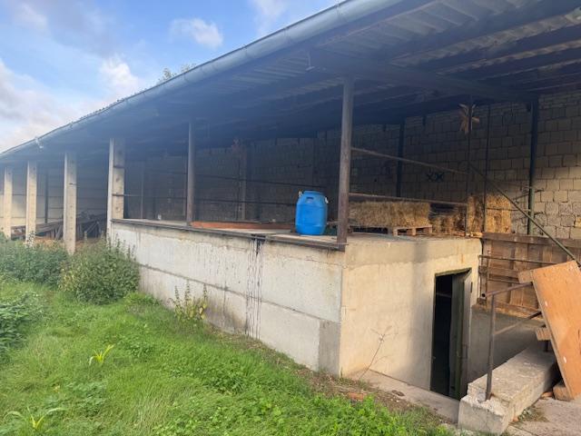 Etwas näher betrachtet...