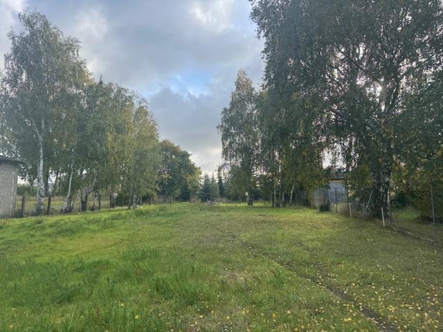 Oder sollte sie grün bleiben?!?