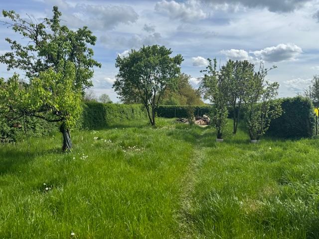 Gartenblick hinter dem Haus