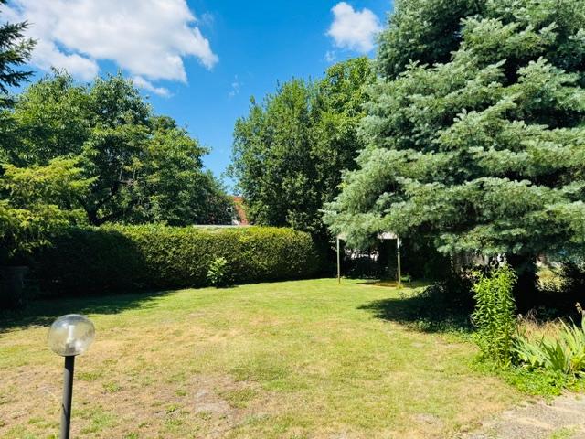 Gartenimpressionen