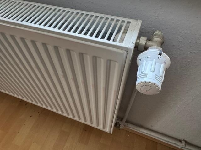 Ein Zentalheizungskörper