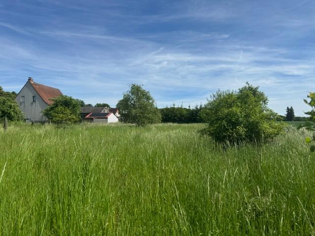 Grundstücksrückblick auf Haus