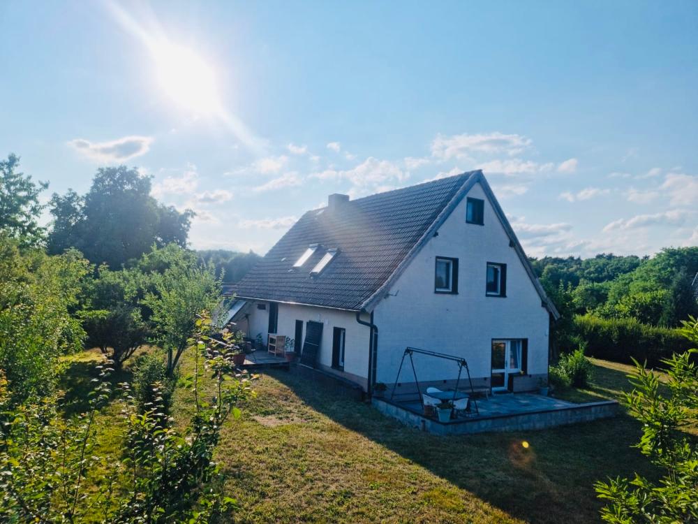 Eine Gartenansicht