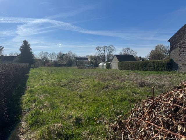 Grundstücksblick nach hinten