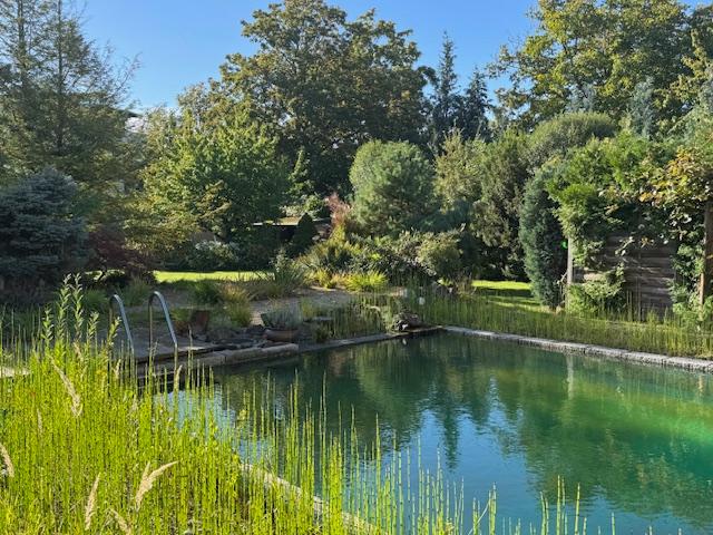 Und das in städtischer Lage