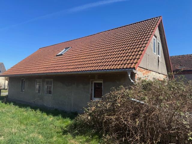 Seitenansicht gartenseitig